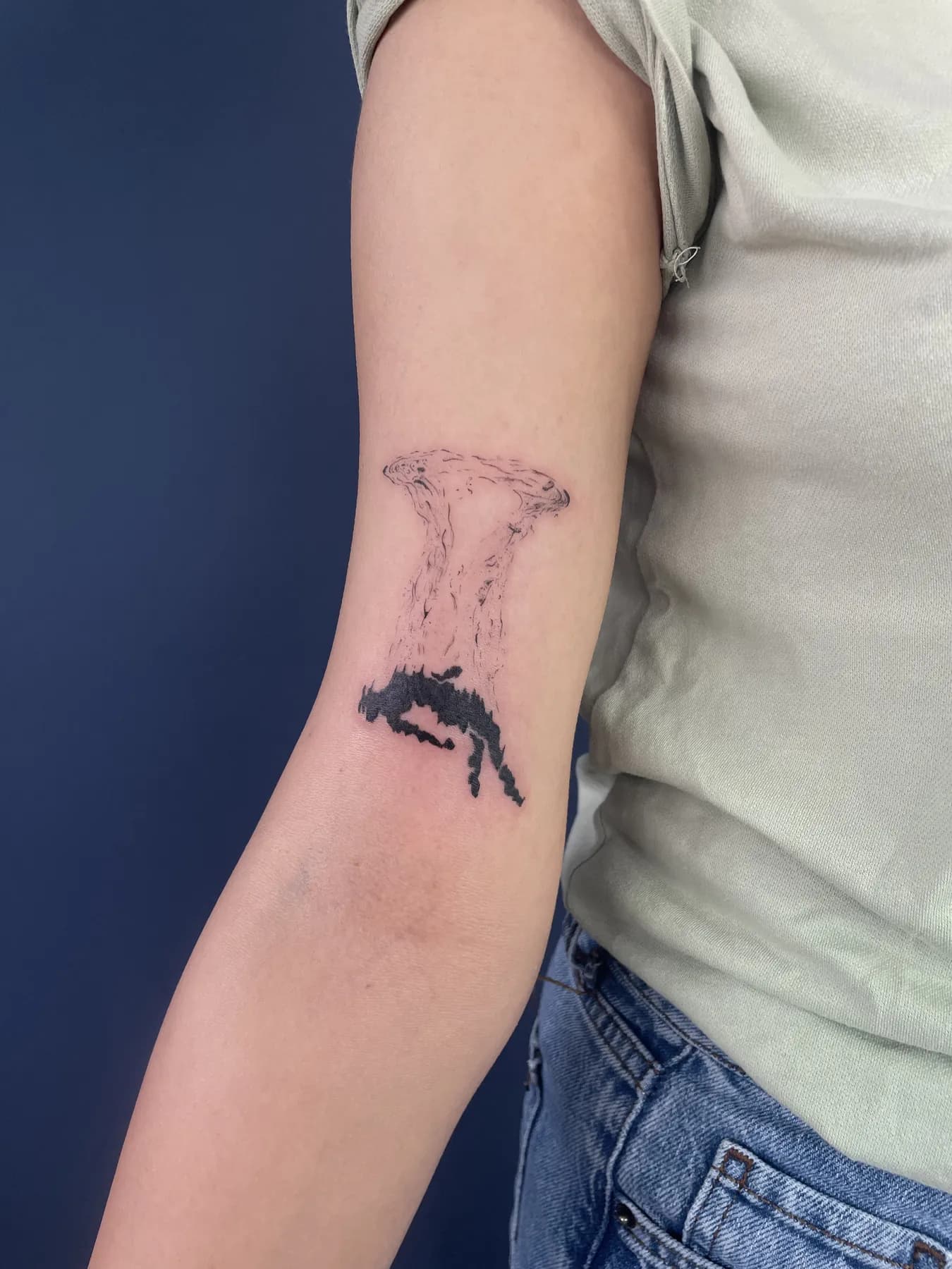 Düşen Ada — Blackwork · Dotwork